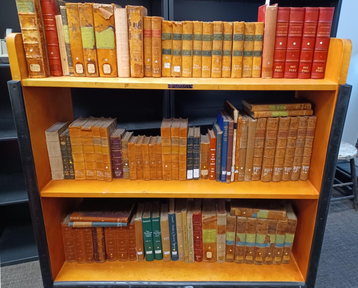 Three shelves of old books