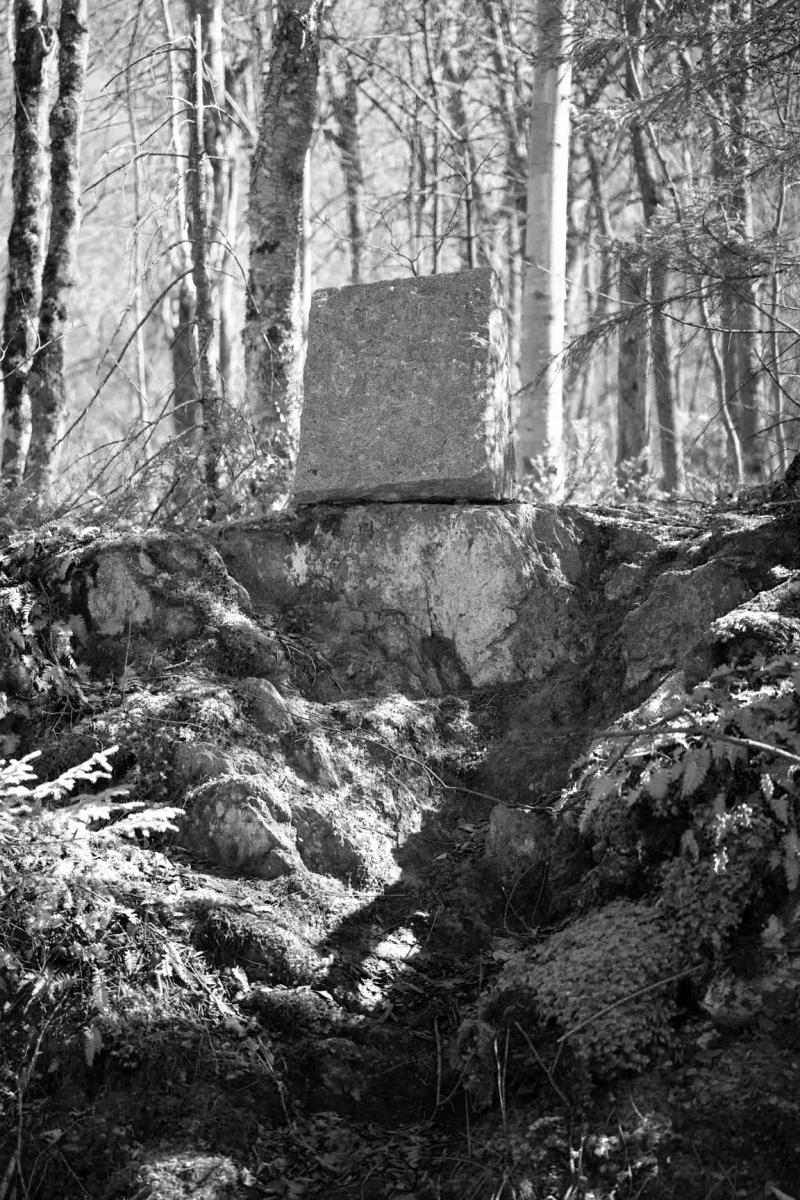 Photo of a large cut stone above a stone pile in the woods. 